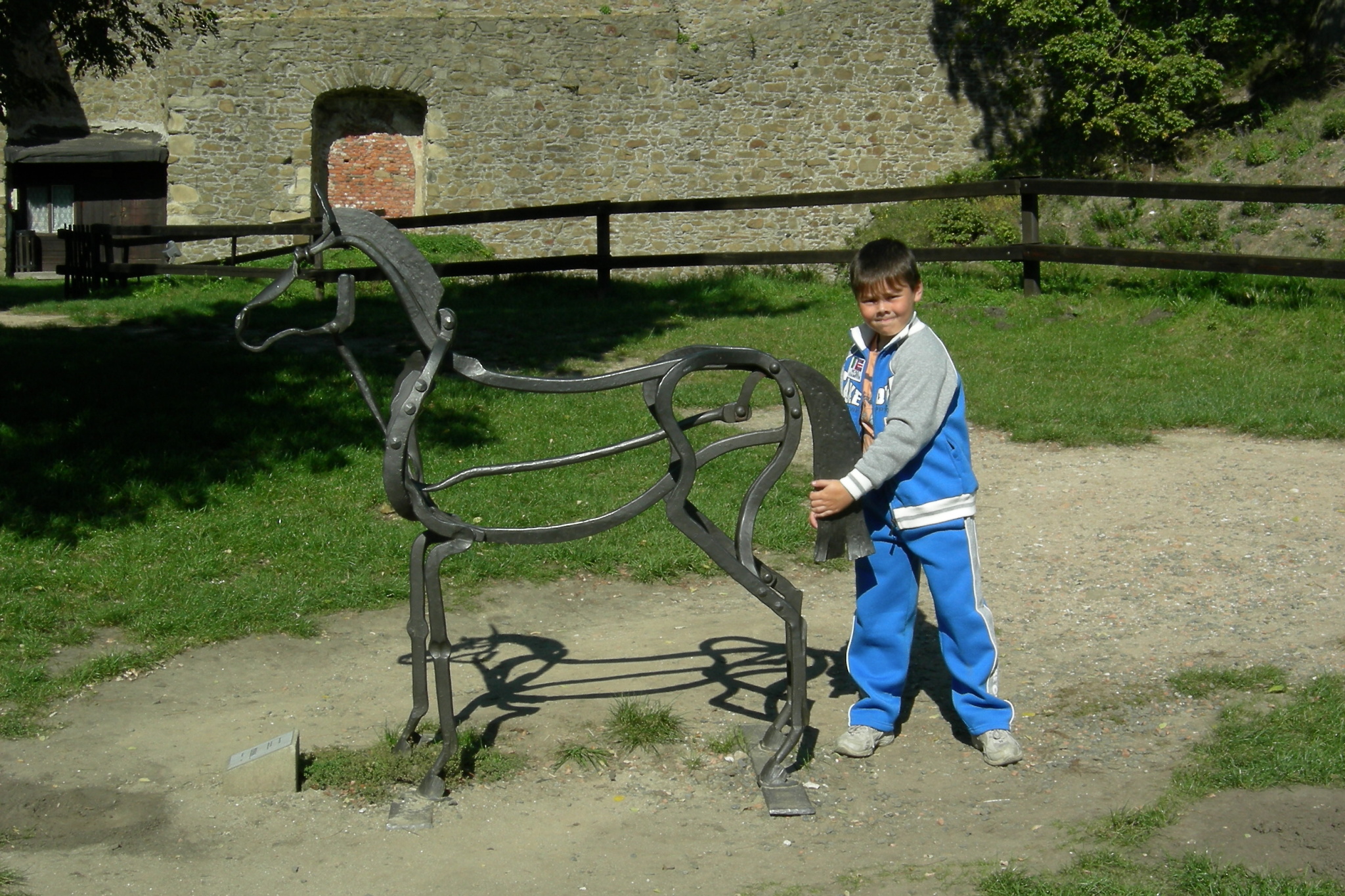 003 koníček.JPG
